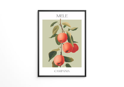 Äpfel Ast Illustration Vintage