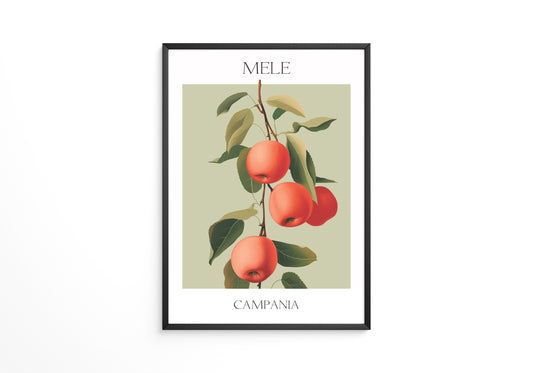 Äpfel Ast Illustration Vintage