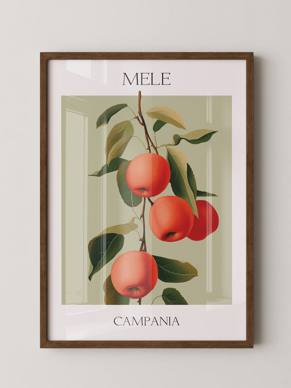 Äpfel Ast Illustration Vintage