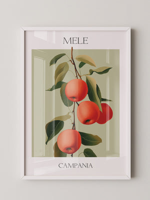 Äpfel Ast Illustration Vintage
