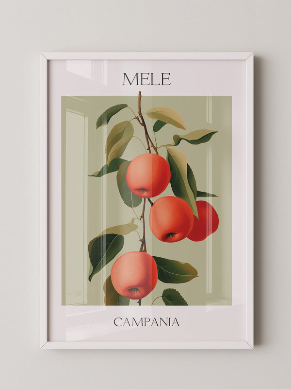 Äpfel Ast Illustration Vintage