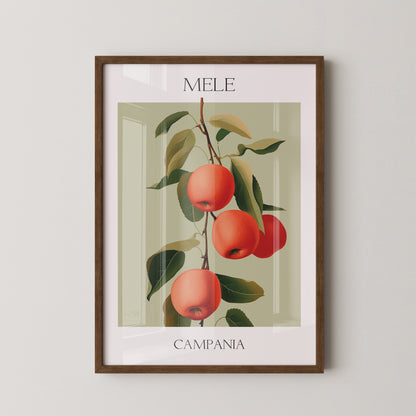 Äpfel Ast Illustration Vintage