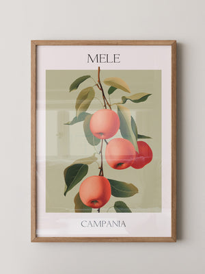 Äpfel Ast Illustration Vintage