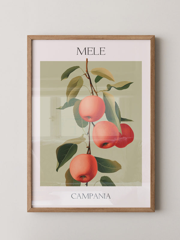 Äpfel Ast Illustration Vintage