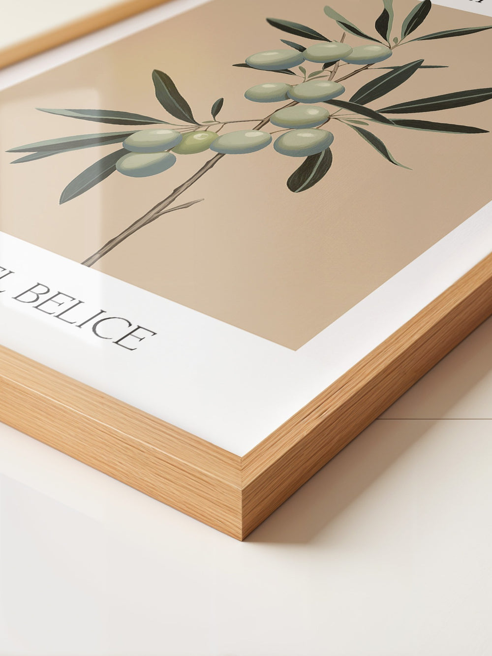 Olivenzweig Minimalistisch