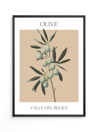 Olivenzweig Minimalistisch