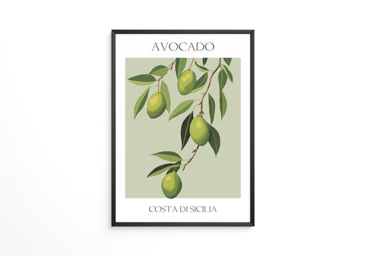 Avocados Zweige Illustration Grün