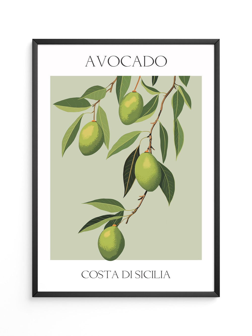 Avocados Zweige Illustration Grün
