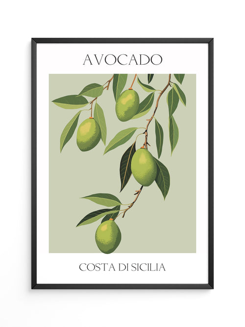 Avocados Zweige Illustration Grün