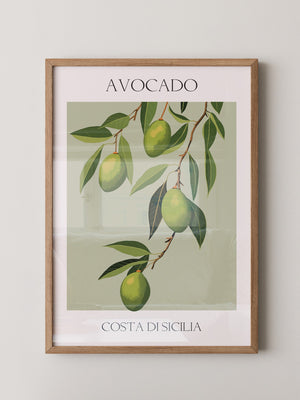 Avocados Zweige Illustration Grün