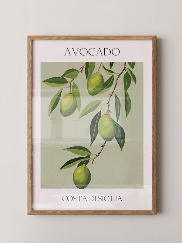 Avocados Zweige Illustration Grün