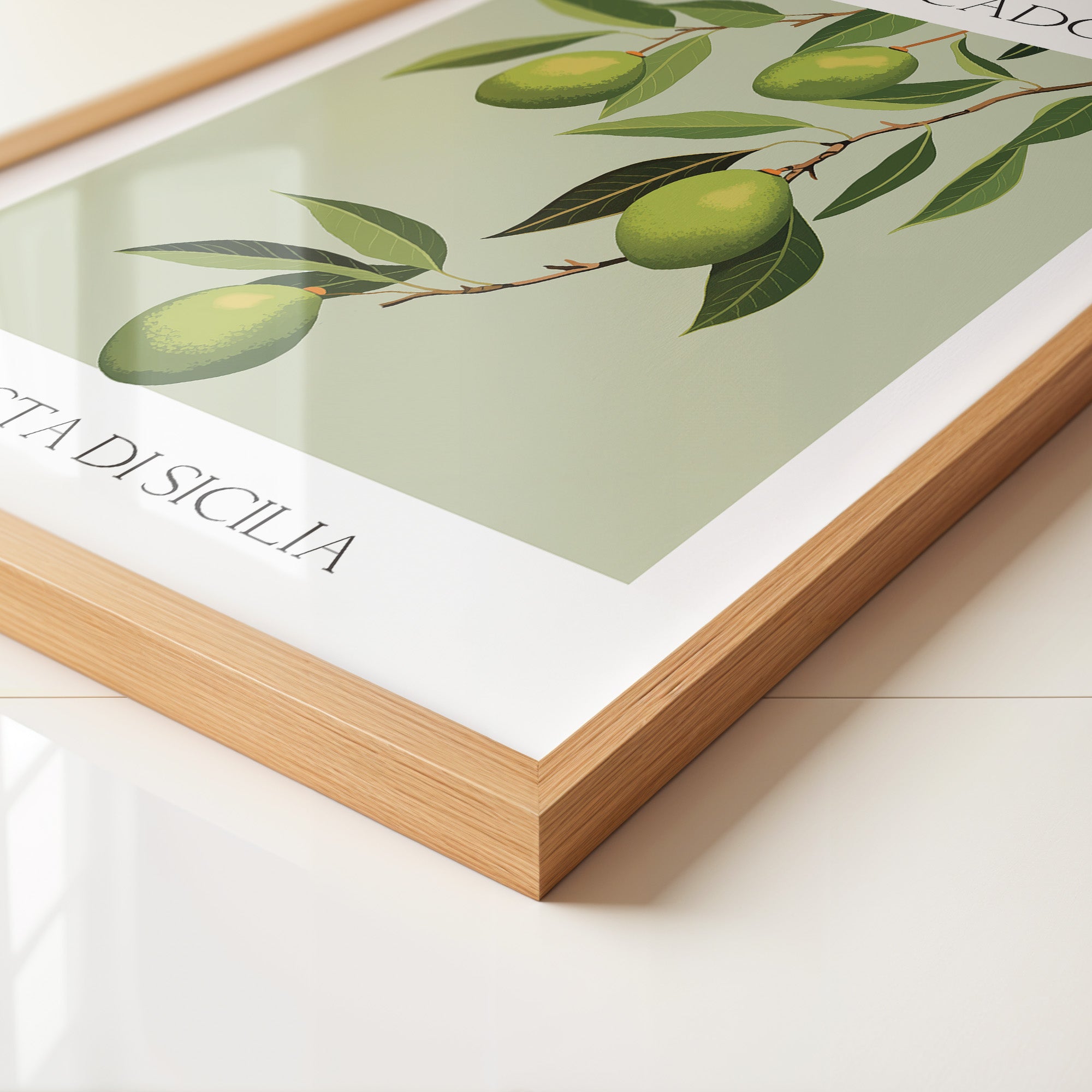 Avocados Zweige Illustration Grün