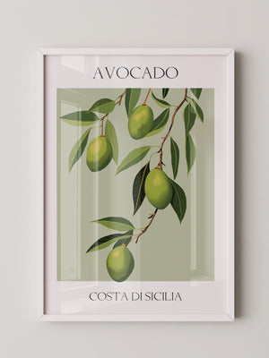 Avocados Zweige Illustration Grün