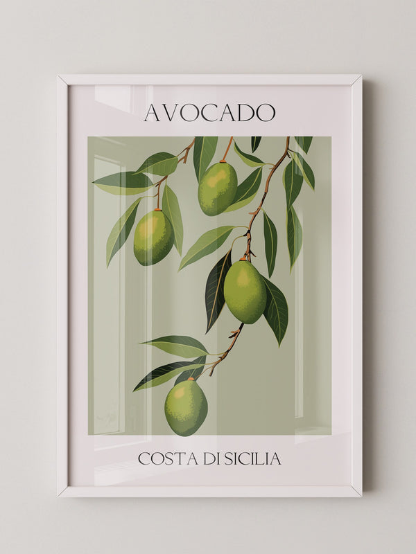 Avocados Zweige Illustration Grün