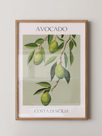 Avocados Zweige Illustration Grün