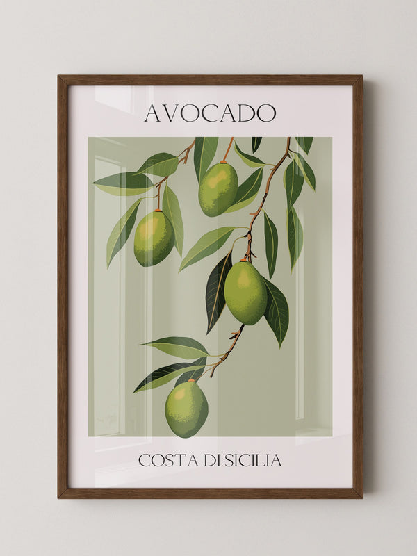 Avocados Zweige Illustration Grün