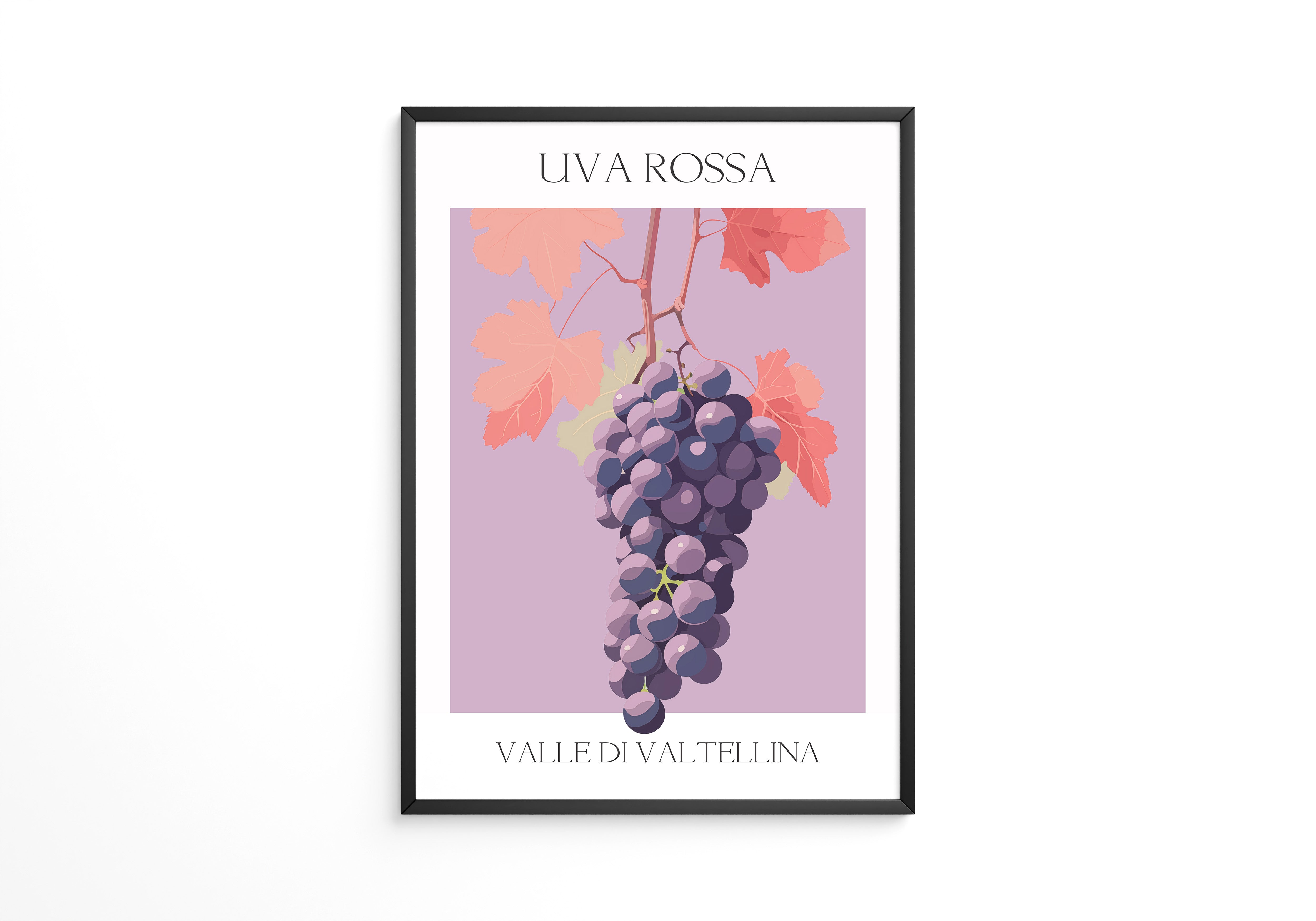 Trauben Illustration Rosa