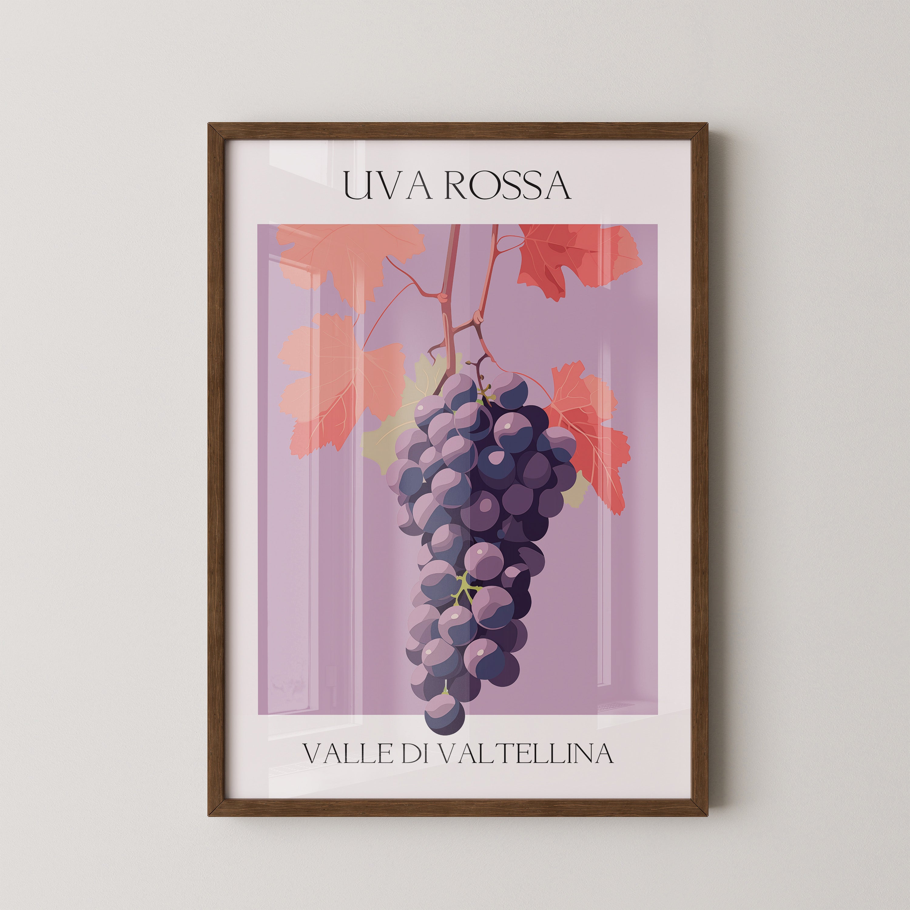 Trauben Illustration Rosa