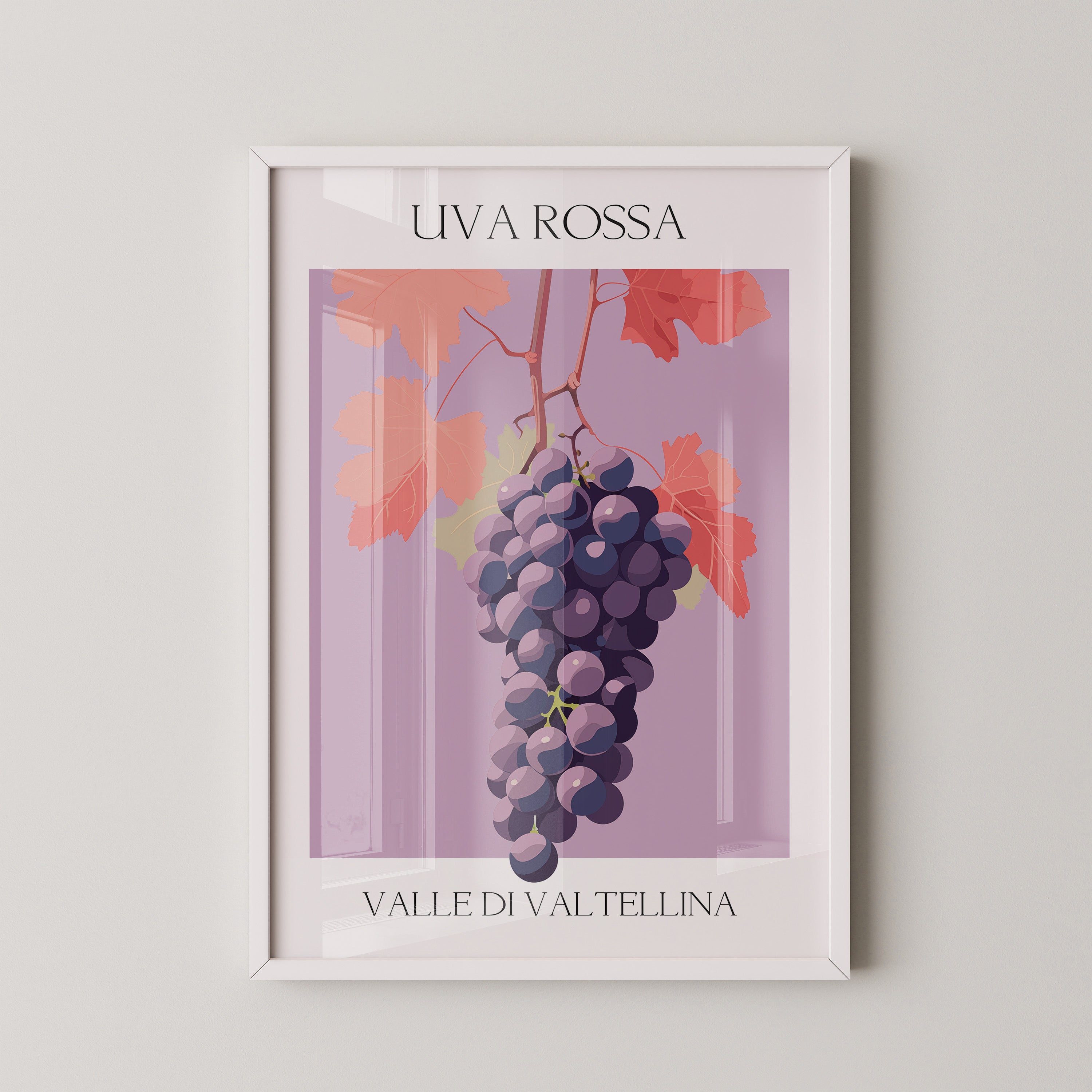 Trauben Illustration Rosa