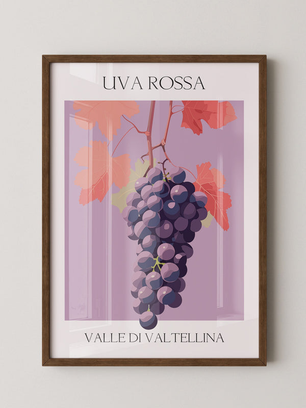 Trauben Illustration Rosa