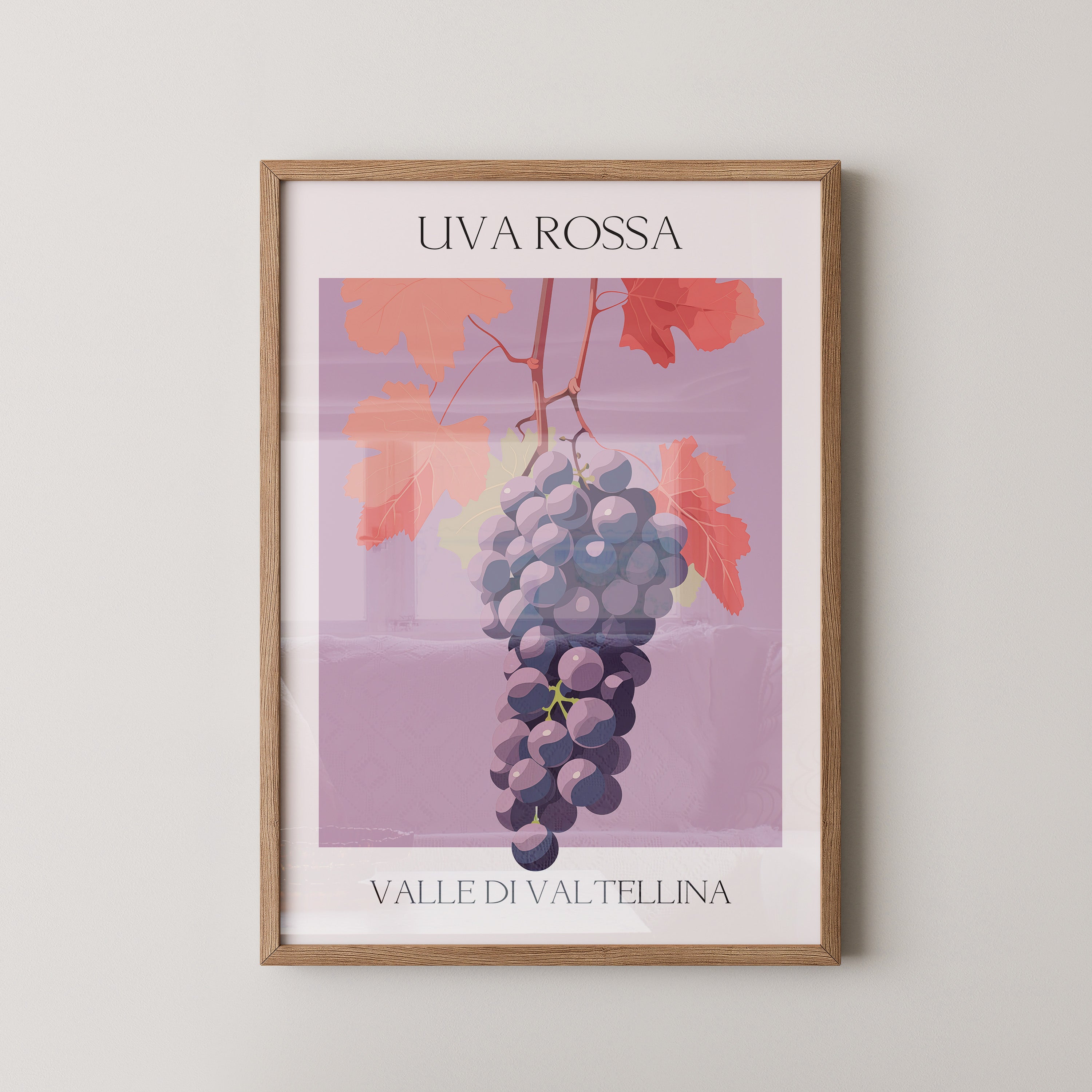 Trauben Illustration Rosa