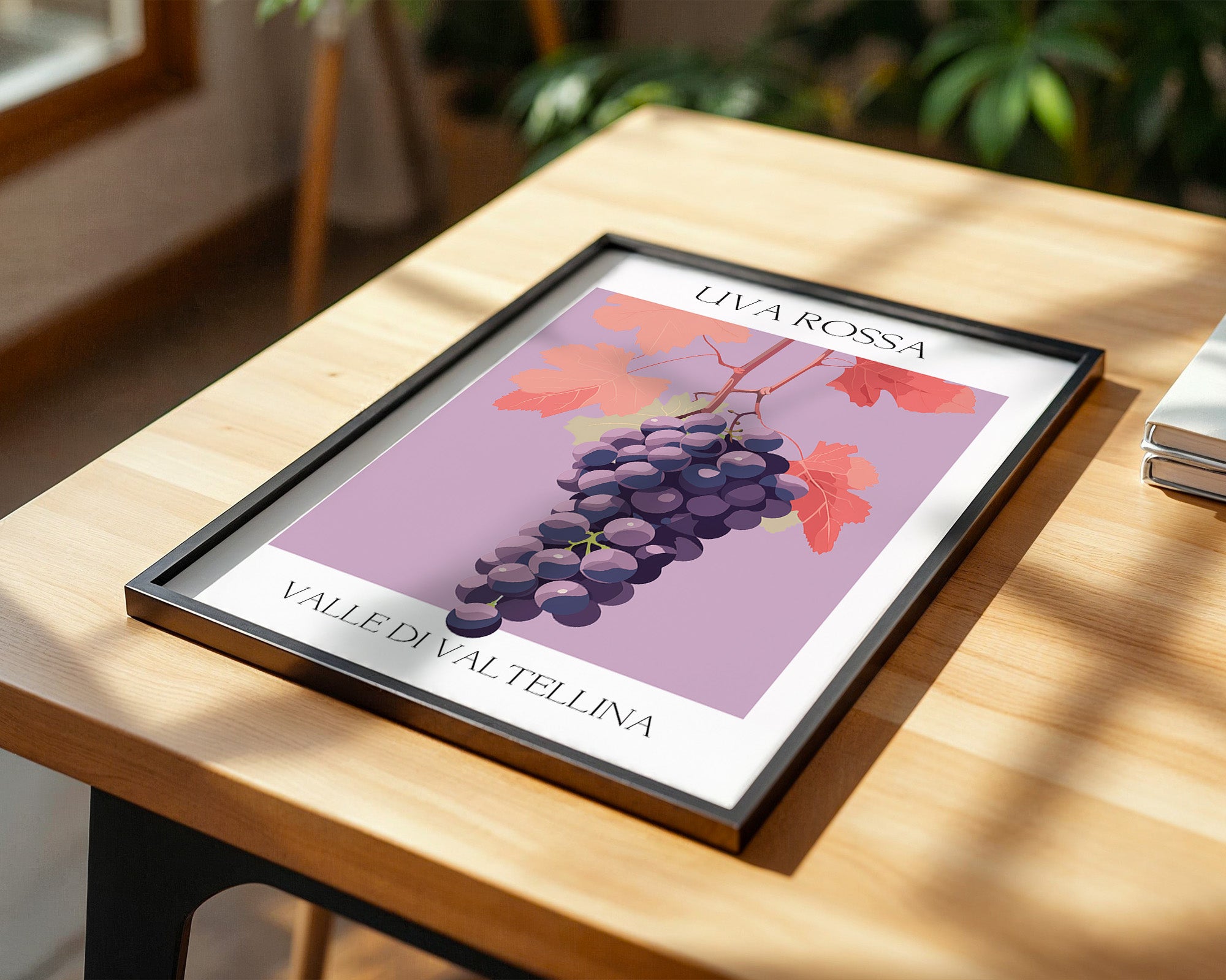 Trauben Illustration Rosa