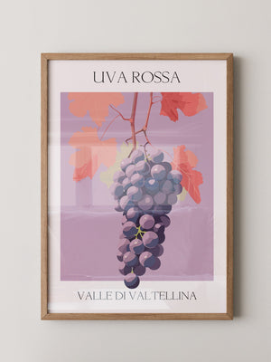 Trauben Illustration Rosa