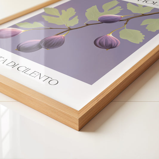 Feigenzweig Lila Aquarell