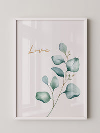 Eukalyptus Aquarell Liebe