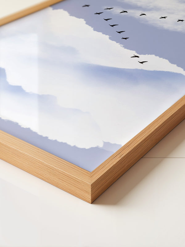 Vögel Formation Himmel Silhouette