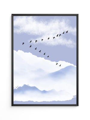 Vögel Formation Himmel Silhouette