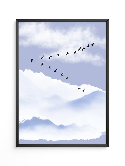 Vögel Formation Himmel Silhouette