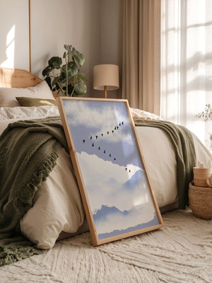 Vögel Formation Himmel Silhouette