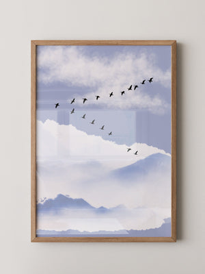 Vögel Formation Himmel Silhouette