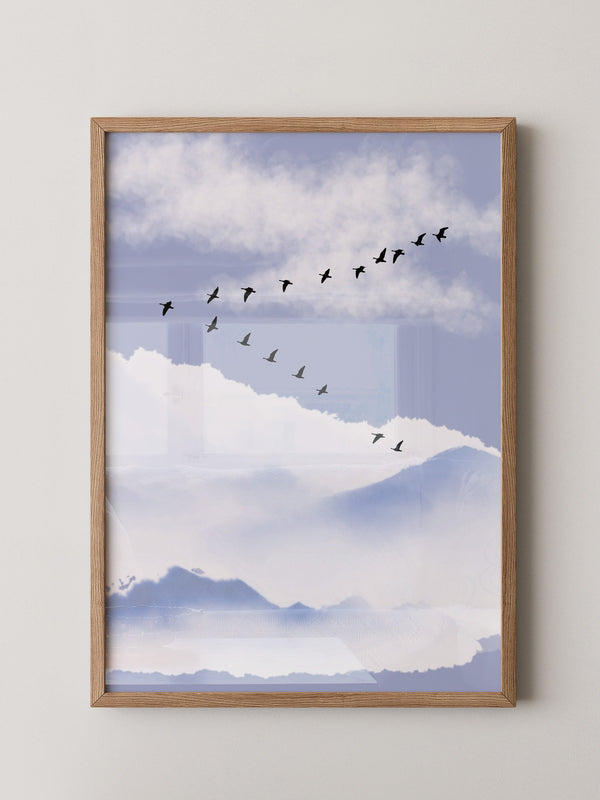 Vögel Formation Himmel Silhouette