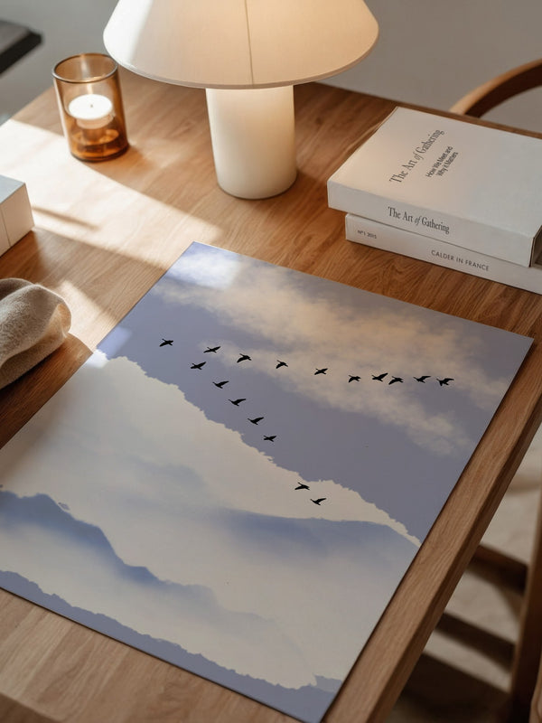 Vögel Formation Himmel Silhouette