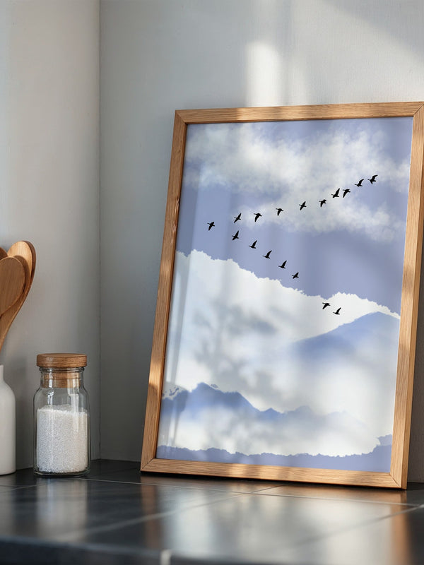 Vögel Formation Himmel Silhouette