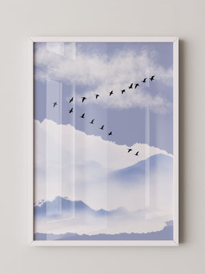 Vögel Formation Himmel Silhouette