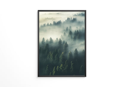 Nebelwald mystisch