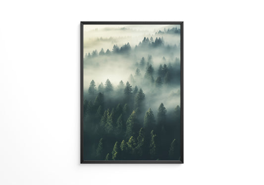 Nebelwald mystisch