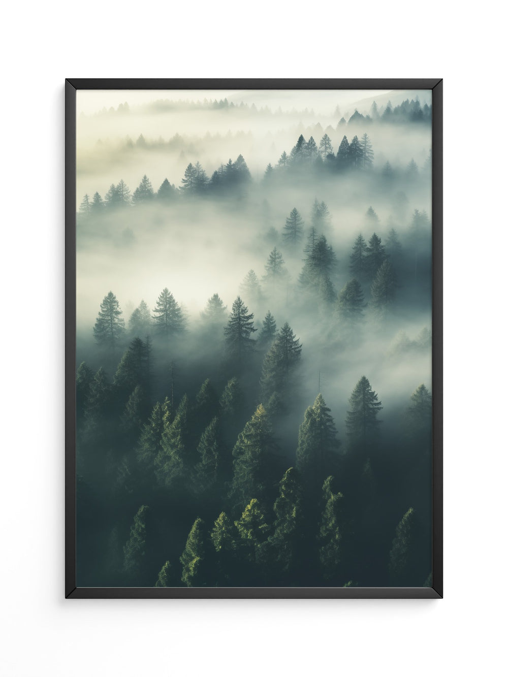 Nebelwald mystisch