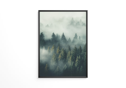 Nebliger Wald mystisch