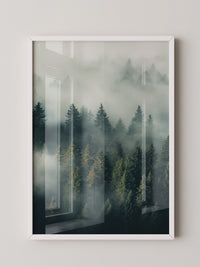 Nebliger Wald mystisch