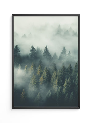 Nebliger Wald mystisch