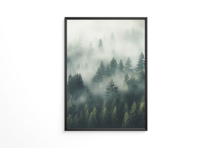 Nebelwald Morgengrauen