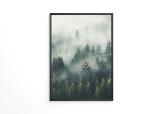 Nebelwald Morgengrauen