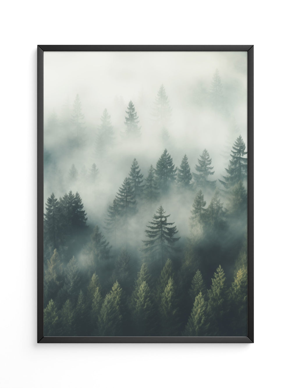 Nebelwald Morgengrauen