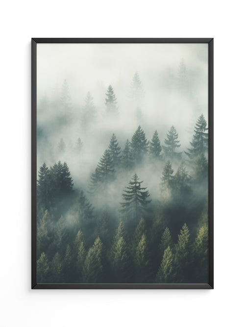 Nebelwald Morgengrauen