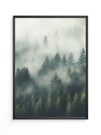 Nebelwald Morgengrauen