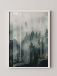 Nebelwald Morgengrauen